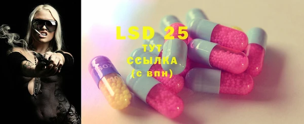 сатива Вязьма