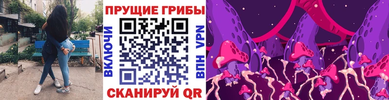Псилоцибиновые грибы GOLDEN TEACHER Закаменск